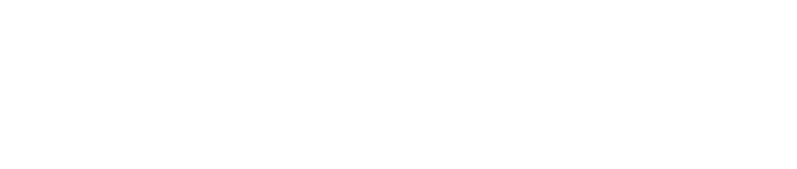 DVORA Global